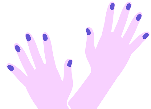 左下前排手