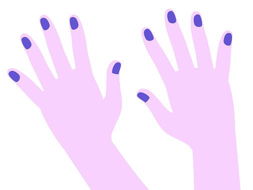 右下前排手