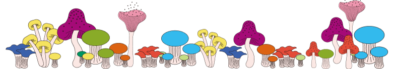 kv＿mushroom_xs