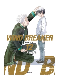 WIND BREAKER防風少年 12